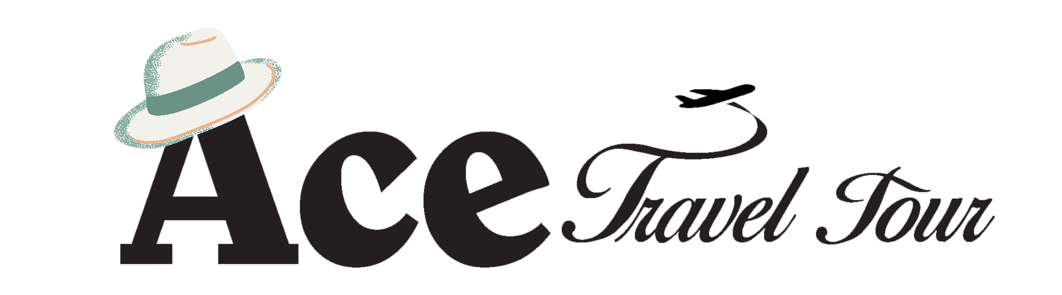 Ace Travel Tour